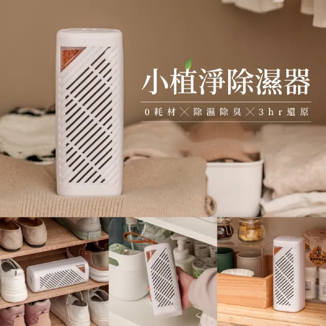 【SANSUI 山水】小植淨除濕器 迷你除濕器 除濕 雨季 除濕除臭 防潮防霉 0耗材 懸掛直放 衣櫃鞋櫃 GRA360
