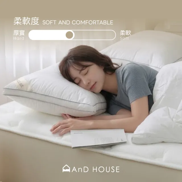 【AnD HOUSE 安庭家居】水洗抗菌立體枕一入(枕頭/可水洗/蓬鬆/防螨抗菌)