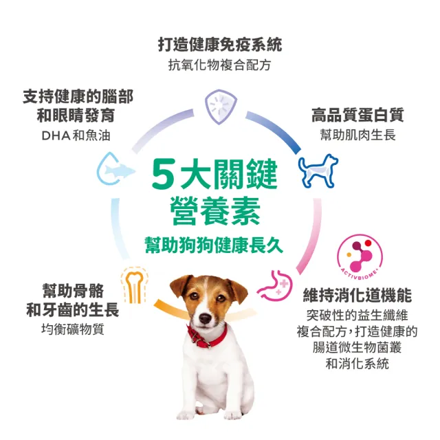 【Hills 希爾思】官方直營 大型幼犬 雞肉與糙米 12.5公斤(狗飼料 狗糧)