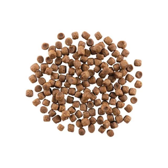 【Go!】海洋鮭鱈 8磅 貓咪高肉量系列 低碳水無穀天然糧(貓糧 護毛 貓飼料 全齡貓 寵物食品)