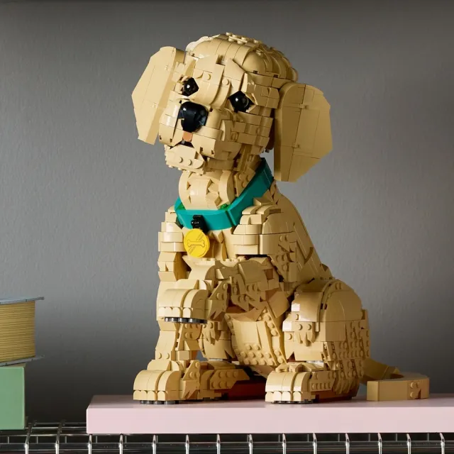 【LEGO 樂高】Icons 11384 小黃金獵犬(玩具狗 居家擺設 玩具 禮物)