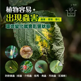 【蔬菜工坊】病蟲害防治套組 120ml 3入｜雙植保字號認證無毒除菌防