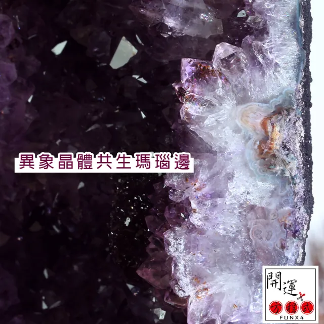 【開運方程式】巴西紫晶洞紫水晶洞滿礦紫鈦晶共生方解石片地晶花JU474(21.5kg招財風水開運擺設)