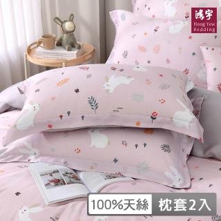 【HongYew 鴻宇】台灣製100%天絲 歐式壓框薄枕套2入-艾莉兔(60支/300織)