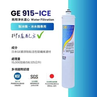 【GE 奇異】日本 GE 915-ICE 商用淨水濾芯 製冰機冰水機專用