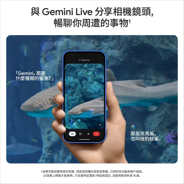 【Google】Pixel 10 5G 6.3吋(12G/128G/Tensor G5/4800萬鏡頭畫素/AI手機)