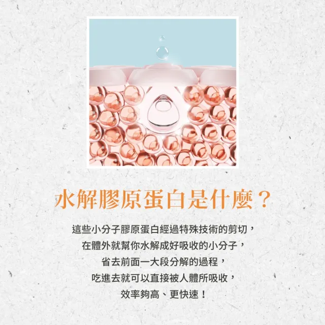 【Sanct Bernhard 聖伯納德】德國百年草本 黃金級水解膠原蛋白粉(525克/瓶 )