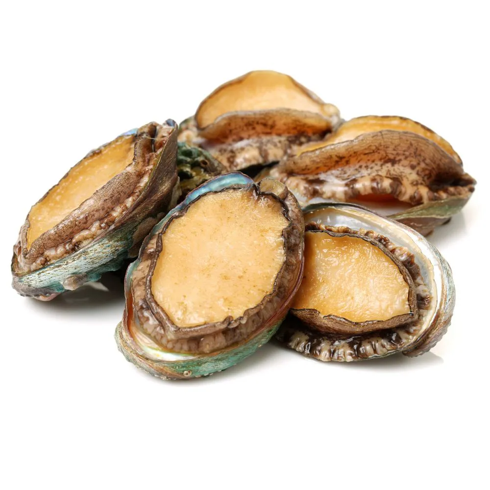 【RealShop】岩見鮑魚 1kg/約24顆(鍋物 快炒 海鮮粥好食材 年菜 年節 真食材本舖)