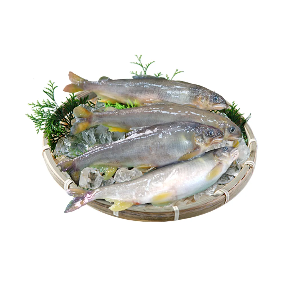 【優鮮配】宜蘭巨無霸爆卵母香魚2盒(5尾/920g/盒)