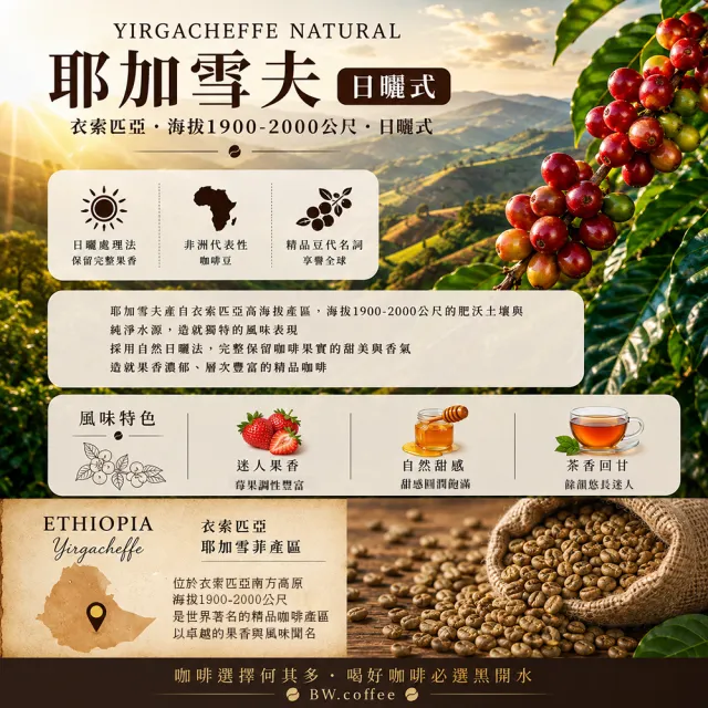 【黑開水】現烘耶加雪夫日曬式淺培咖啡豆1磅(450克/包)