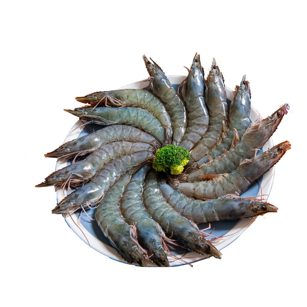 【鮮綠生活】嚴選特大生凍白蝦后 共2盒(600g ±10%/盒/約14±3尾)