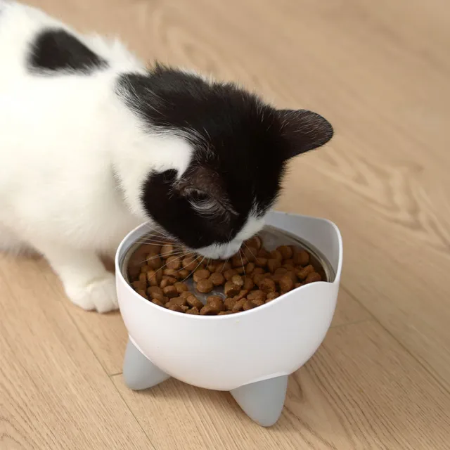 【CATIT】嘿卡堤  高架餵食碗（寵物碗/餐碗/高腳碗/護頸碗）
