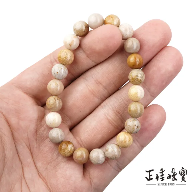 【正佳珠寶】珊瑚玉 高品珊瑚化石玉髓 8mm 菊花石珊瑚玉手珠