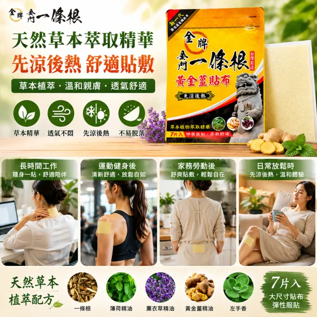【金牌一條根】金門一條根網狀黃金薑貼布3包共21片-先涼後熱(正宗金門一條根 先涼舒緩後熱制痛)