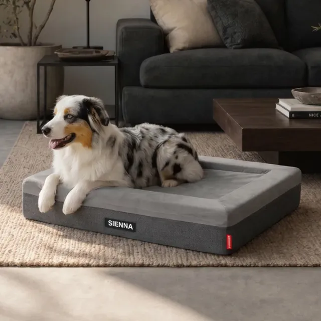 【EZYDOG】Thermacore™涼暖記憶寵物床 S號｜涼暖雙面設計｜凝膠記憶海棉｜全方位包覆