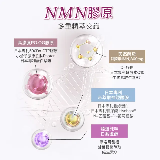 【Angel LaLa 天使娜拉】日本專利NMN酵素膠原粉(10包/盒/膠原蛋白/神經醯胺/玻尿酸/蛋白聚醣/賴雅妍)