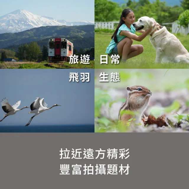 【SONY 索尼】SEL100400 輕巧超望遠變焦鏡頭 (公司貨 保固24個月)