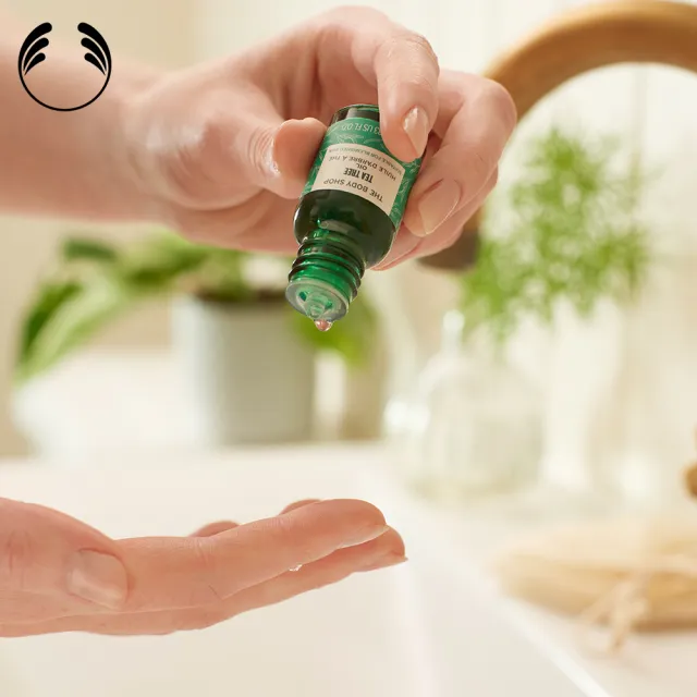 【THE BODY SHOP 美體小舖】茶樹精油-10ML(調理/淨化毛孔)