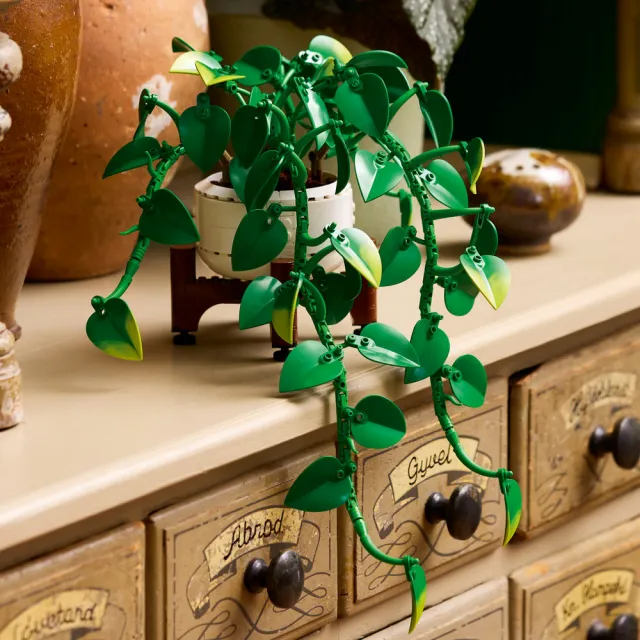 【LEGO 樂高】Botanicals 11512 垂掛黃金葛(momo獨家 花藝 永生花 居家擺飾 懶人盆栽  玩具 積木 送禮推薦)