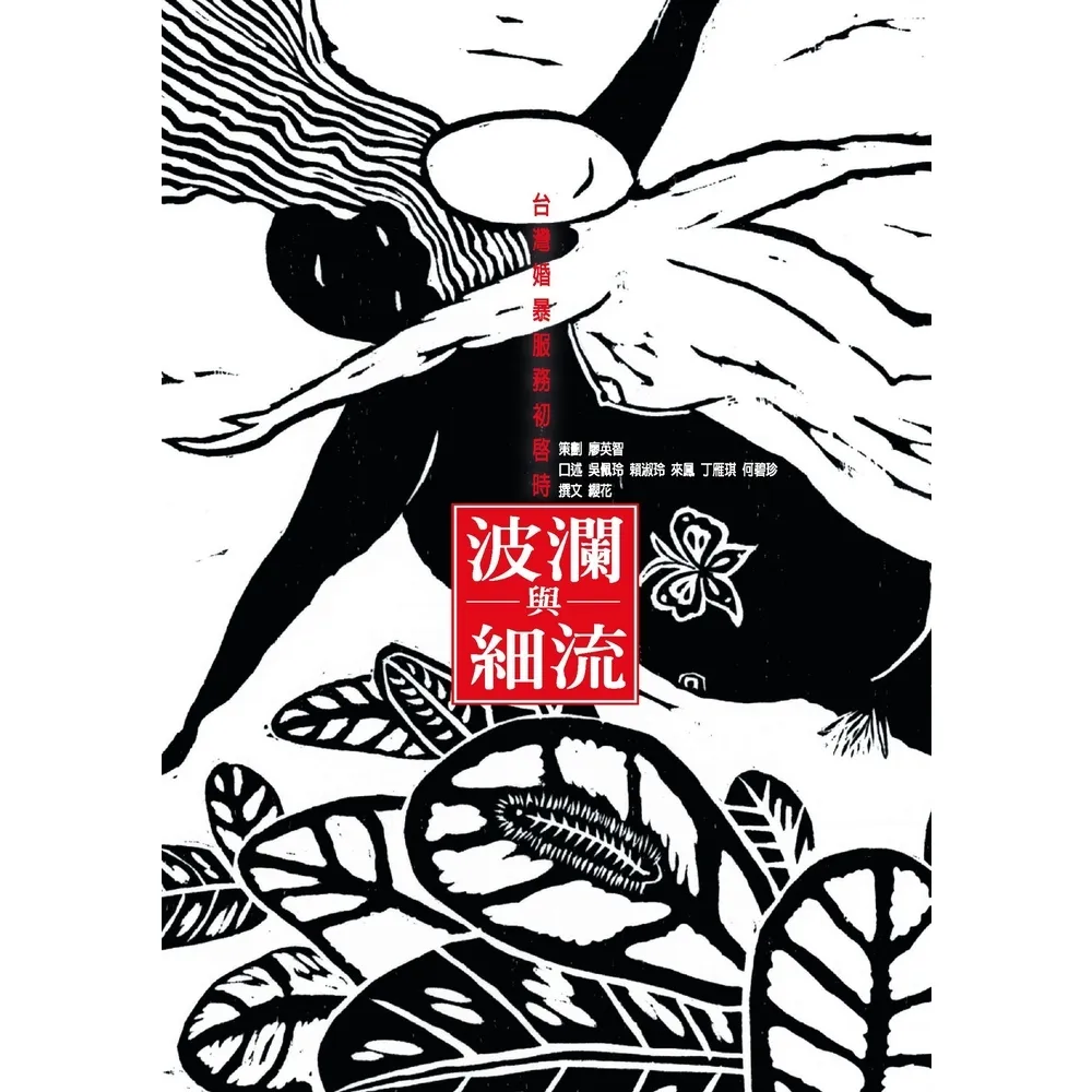 【momoBOOK】波瀾與細流：台灣婚暴服務初啟時(電子書)