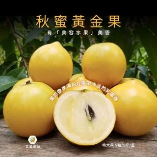 【賞菓優鮮】南投山林秋蜜黃金果精美特大果禮盒1盒(5粒/5斤)(有黃金蒟蒻美譽 產地現採直送)