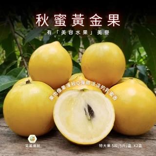 【賞菓優鮮】南投山林秋蜜黃金果精美特大果禮盒2盒(5粒/5斤X2盒)(有黃金蒟蒻美譽 產地現採直送)