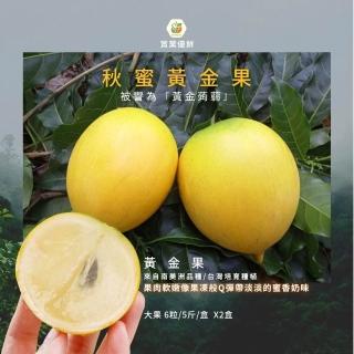【賞菓優鮮】南投山林秋蜜黃金果精美大果禮盒2盒(6粒/5斤X2盒)(有陸地上的燕窩美譽 產地現採直送)