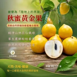【賞菓優鮮】南投山林秋蜜黃金果精美中果禮盒1盒(8粒/5斤)(有營養之後美譽 產地現採直送)