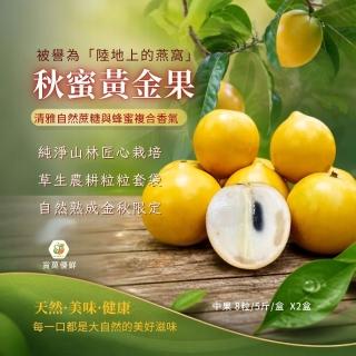【賞菓優鮮】南投山林秋蜜黃金果精美中果禮盒2盒(8粒/5斤X2盒)(有營養之後美譽 產地現採直送)