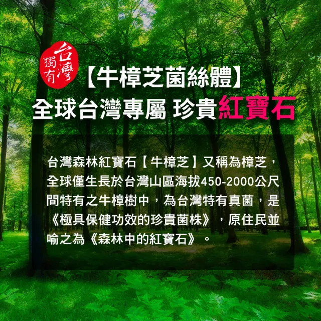 【葡萄王】樟芝王菌絲體膠囊x2瓶 共200粒(樟芝多醣9% 牛樟芝 葡萄王官方)