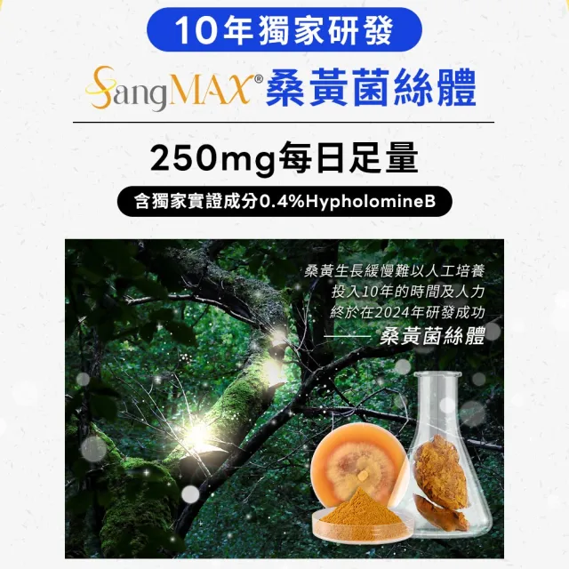 【葡萄王】超極薑黃MAX複方膠囊 60粒x4盒 共240粒(薑黃 胡椒鹼 桑黃)