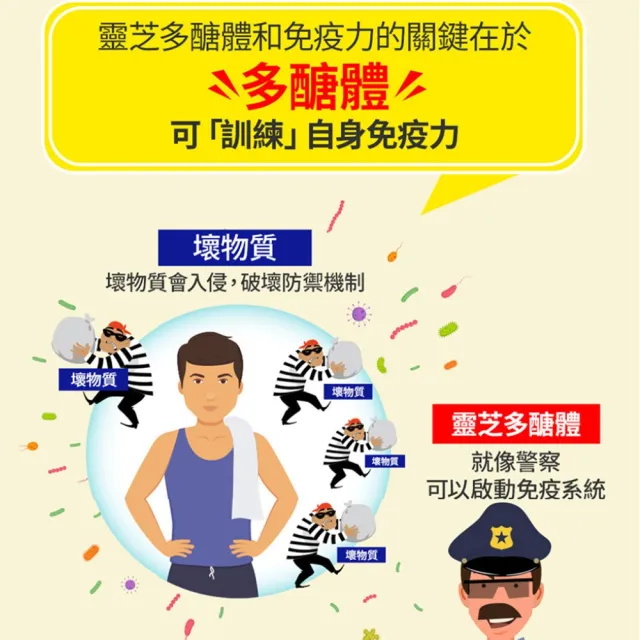 【葡萄王】認證靈芝王x6瓶 共360粒(國家調節免疫力健康食品認證 靈芝多醣 葡萄王官方)