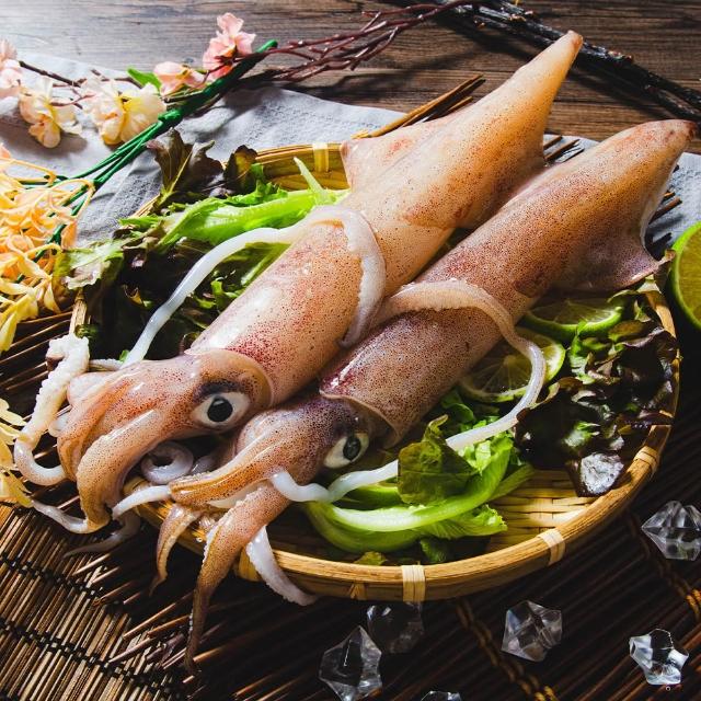 【鮮綠生活】野生船凍透抽 共2包(500g±10%/包 1包2支)