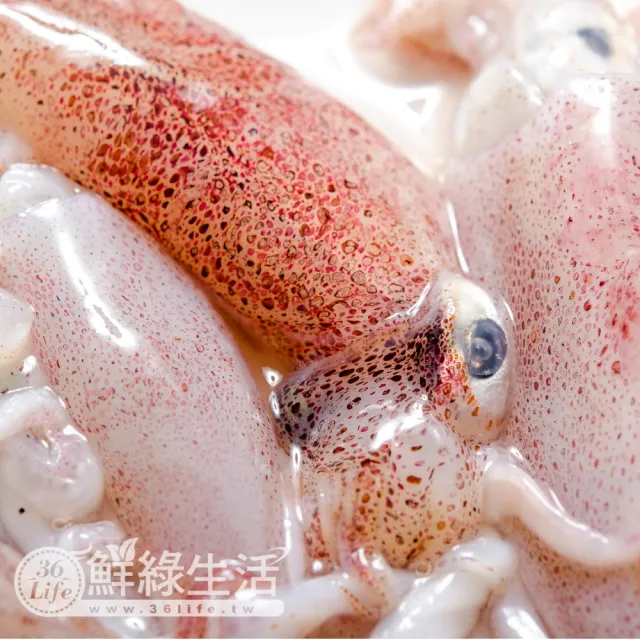 【鮮綠生活】船凍基隆當季野生現撈小咪卷(300g±10%/盒 共6盒)