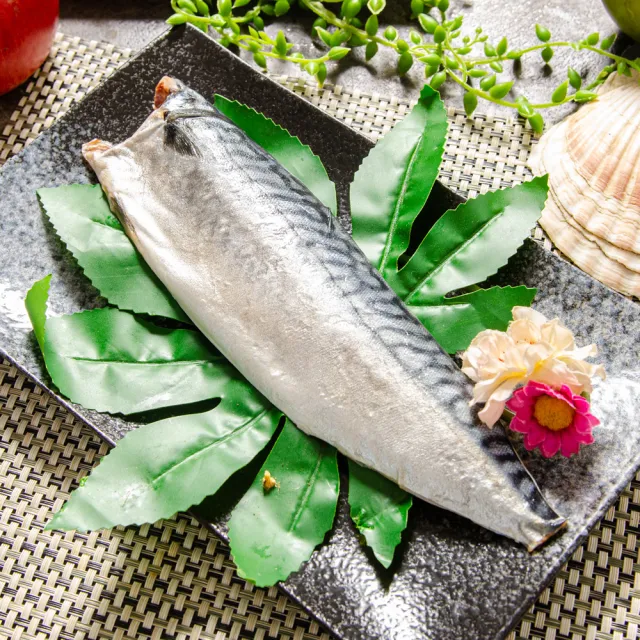 【鮮綠生活】嚴選無紙板超大極厚挪威薄鹽鯖魚片共16包(淨重185g±10%/包)