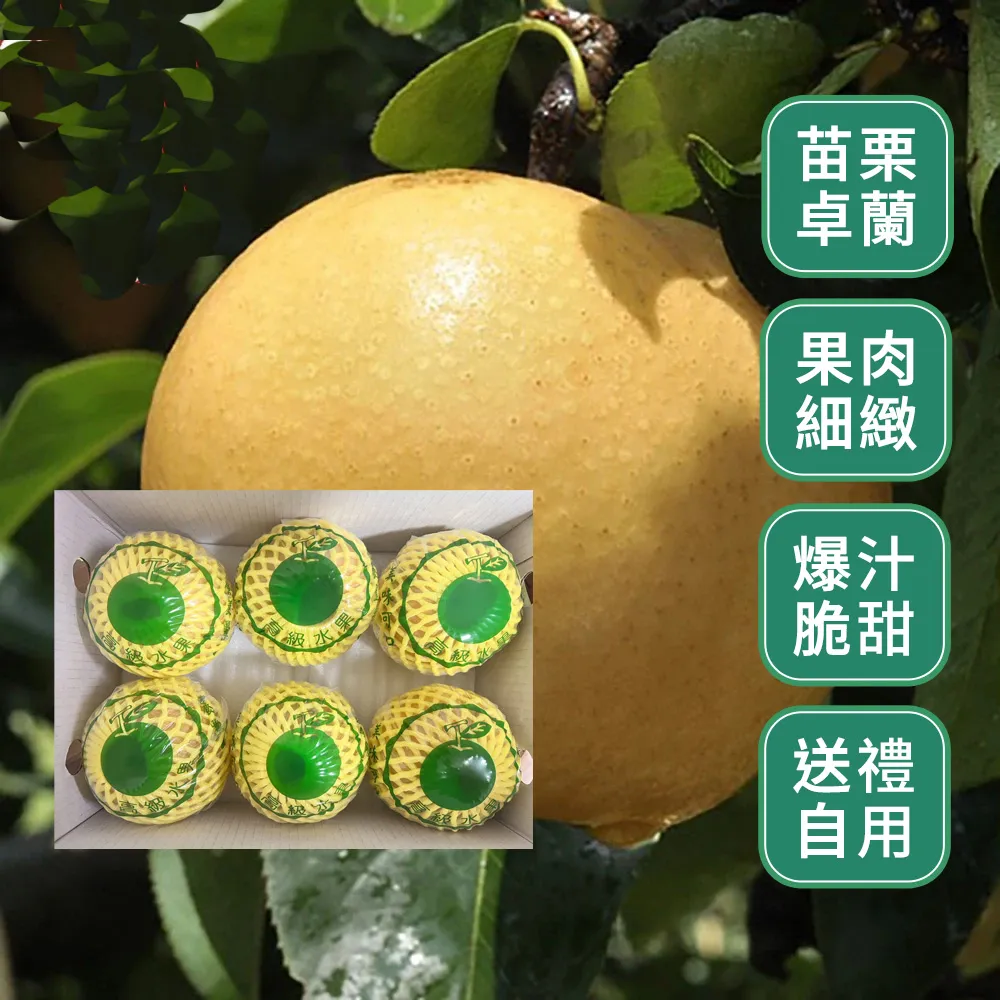 【水果達人】苗栗卓蘭爆汁高接梨禮盒6顆(400g-460±10%/顆)寄出日為（下訂日1-3個工作天）
