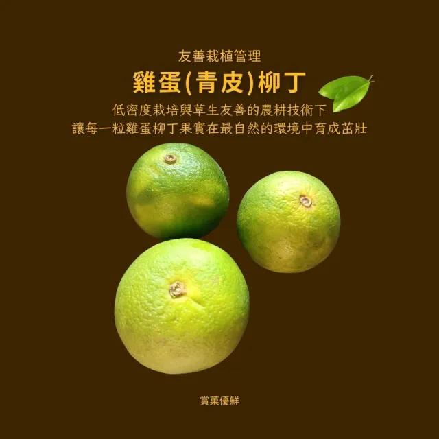 【賞菓優鮮】台南正老欉古早味雞蛋柳丁精美禮盒1盒(30-40粒/5斤)(金秋寒露限定_產地鮮採直送)