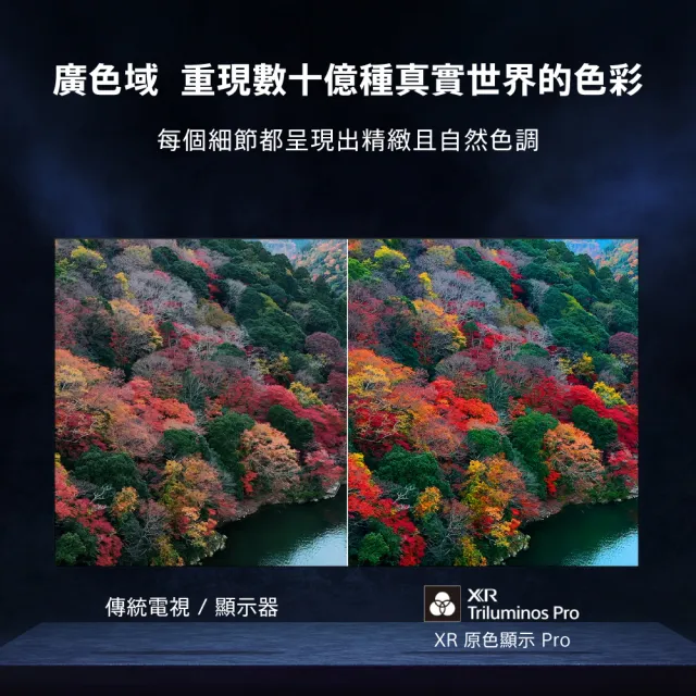 【SONY 索尼】BRAVIA 8 77型 XR OLED 4K HDR Google TV顯示器(Y-77XR80)