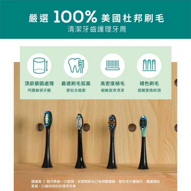 【beurer 德國博依】音波電動牙刷《SC系列》刷頭 (4入/組)- 基礎清潔 (SC 30/SC 50)
