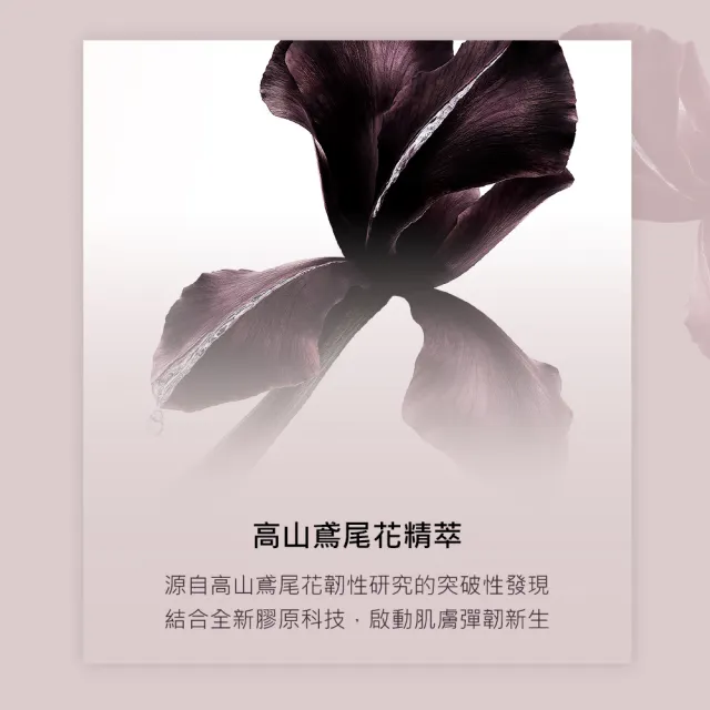 【YSL】官方直營 極效胜肽緊顏澎彈霜 50ML (新品上市)