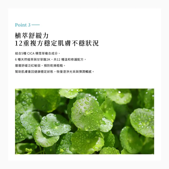 【AZELAIN】艾姿琳 壬二酸淨痘安瓶30mL(杜鵑花酸/積雪草/毛孔粗大/改善膚況/神經醯胺/玻尿酸/膠原蛋白)
