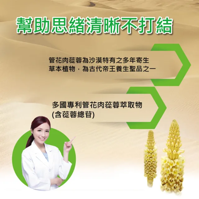 【YouBest 優倍多】活力B群軟膠囊3入(共270粒-高單位B群 胺基酸 管花肉蓯蓉 茯苓萃取物)