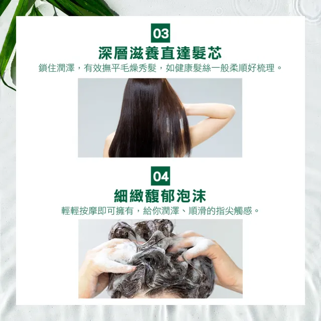【Timotei 蒂沐蝶】日本植萃 洗髮精/護髮乳500g(小姐不熙娣/女人我最大節目推薦)