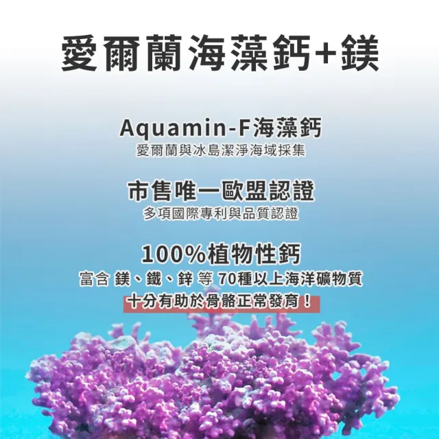 【人可和】海藻鈣蕎麥D3(4入組) -愛爾蘭海藻鈣+鎂 維生素D3+K2+酪蛋白CPP 運鈣+灌鈣+強鈣 3倍利用率 永豐