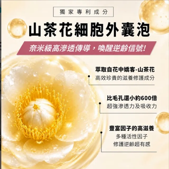 【華寶生醫】極度肌泌修護乳液（山茶花細胞外囊泡）
