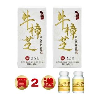 【BAO CHIN LING 寶芝靈】總統級養生至寶-牛樟芝*2盒(2.8公克/瓶.牛樟椴木子實體.全素可食贈高單位B群*2)