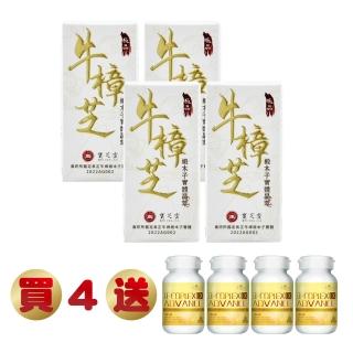 【BAO CHIN LING 寶芝靈】總統級養生至寶-牛樟芝*4盒(2.8公克/瓶.牛樟椴木子實體.全素可食贈高單位B群*4瓶)