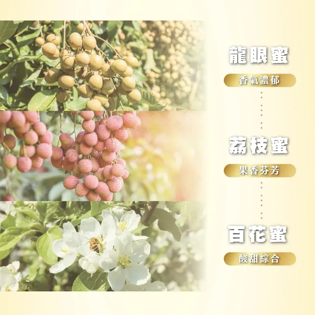【真豐巢】100%台灣純蜂蜜3000g/桶 任選(龍眼/荔枝/百花)(中秋送禮推薦)