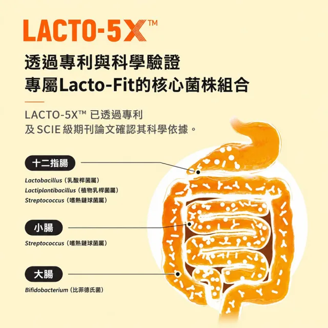 【韓國鍾根堂】LACTO-FIT GOLD 益生菌粉末食品 大童與成人款120入