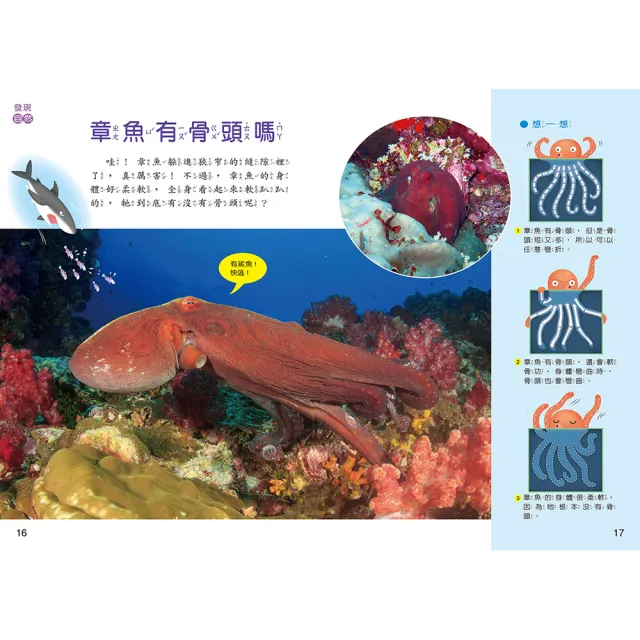 【南門書局】新小小牛頓低幼點讀版36期〜36本主月刊＋紙卡+6張QR Code+點讀筆 科學 自然